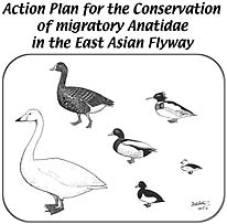 Action Plan