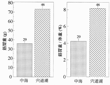 fig.1 (54KB)