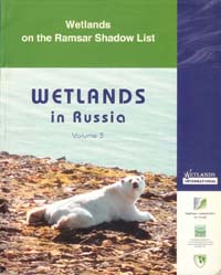 Wetlands in Russia
