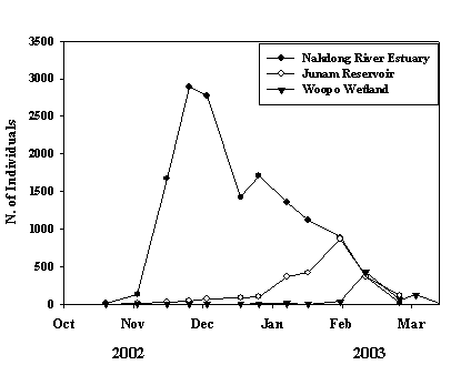 Fig. 19.  Changes of swan individuals in the three wetlands (Nakdong River Estuary, Junam Reservoir, Woopo Wetland)