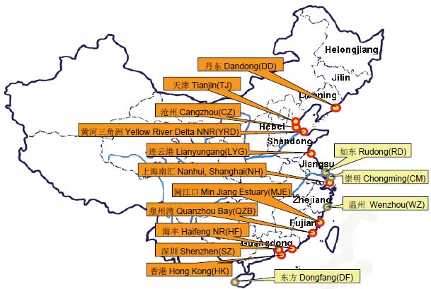 China Coastal Waterbird Census ̒n