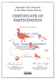 Certificate (12KB)
