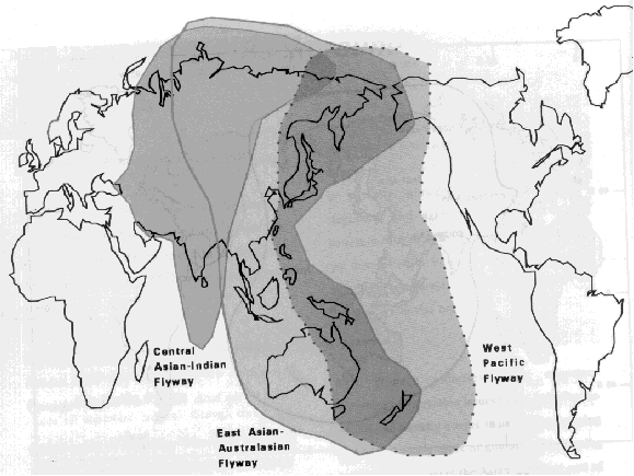 map of asia pacific region. in the Asia-Pacific region