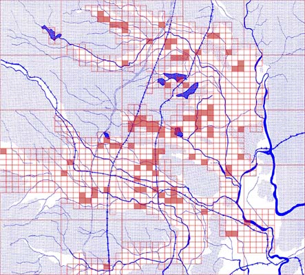 Map: Rice field use (68KB)