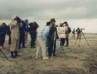 photo: Wetland School in Gamou Coast 1