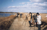 photo: Wetland School in Lake Kabukurinuma