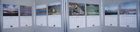 photo: JAWGP 1997 Goose Calendar in Poster Exhibition